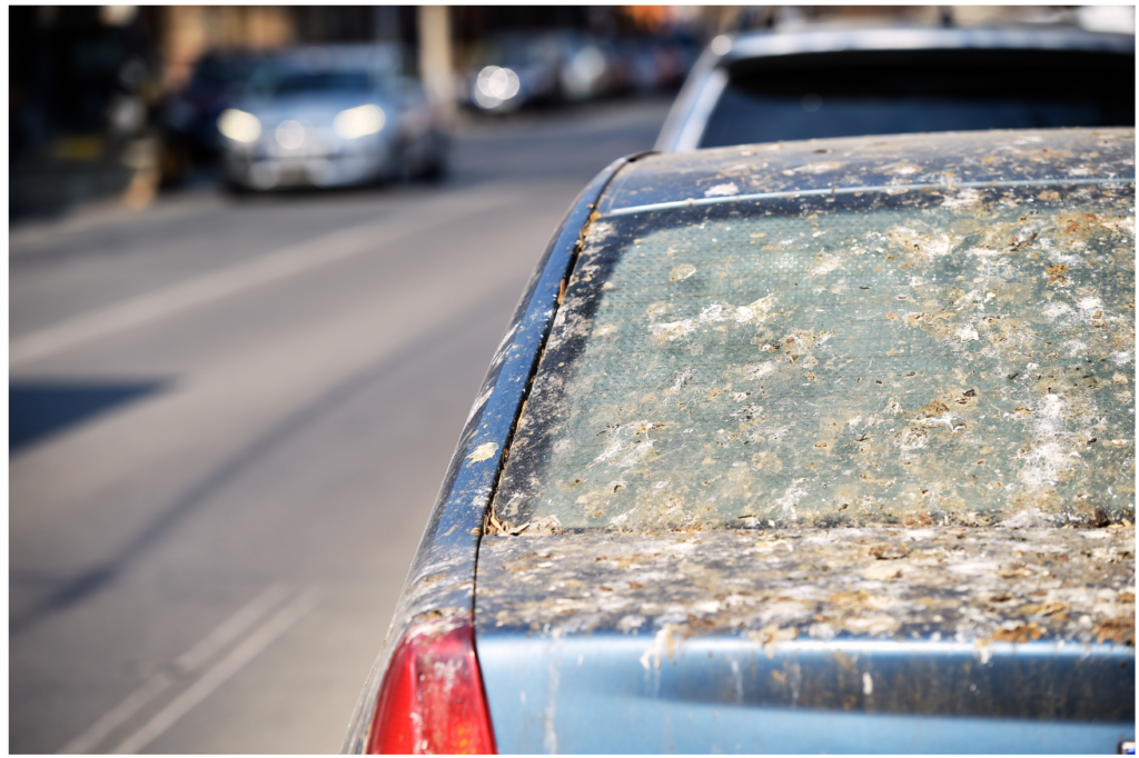 a bleu Car with bird poop on it