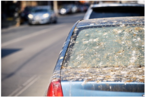 a bleu Car with bird poop on it