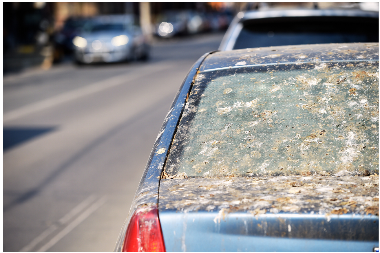 a bleu Car with bird poop on it